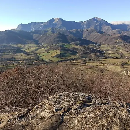 Vecchia Quercia