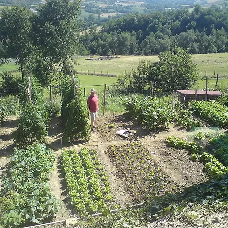 Vecchia Quercia