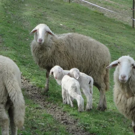 ファームステイ Vecchia Quercia *