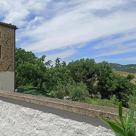 Vecchia Quercia *