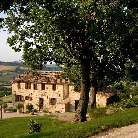 Vecchia Quercia * Pergola
