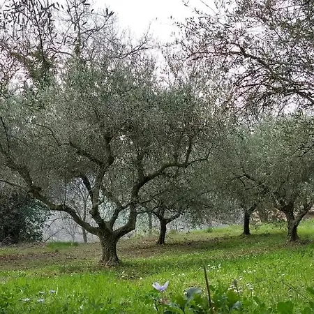 Çiftlik konaklama Vecchia Quercia Pergola