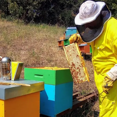 ファームステイ Vecchia Quercia *