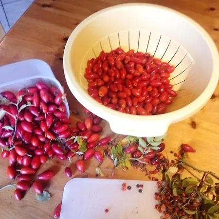 ファームステイ Vecchia Quercia ペルゴラ